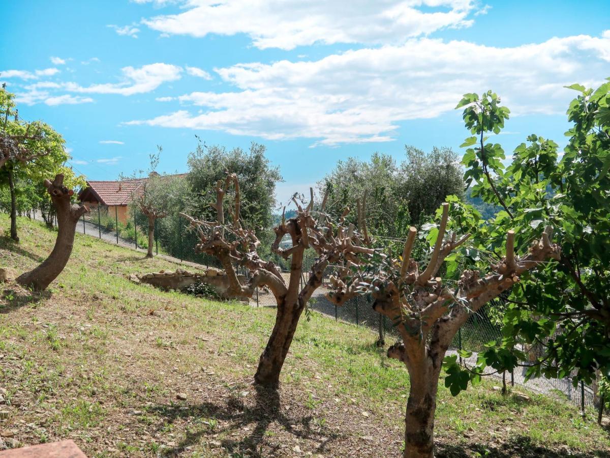 Holiday Home Ludovica By Interhome Soldano Extérieur photo